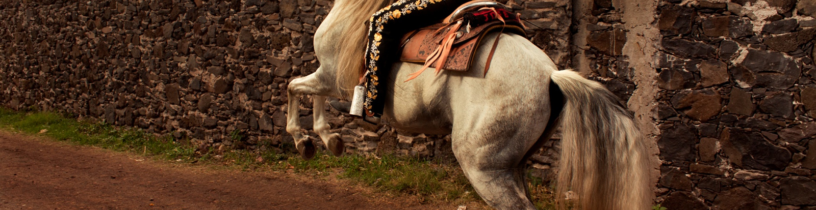 Ojuelos de Jalisco