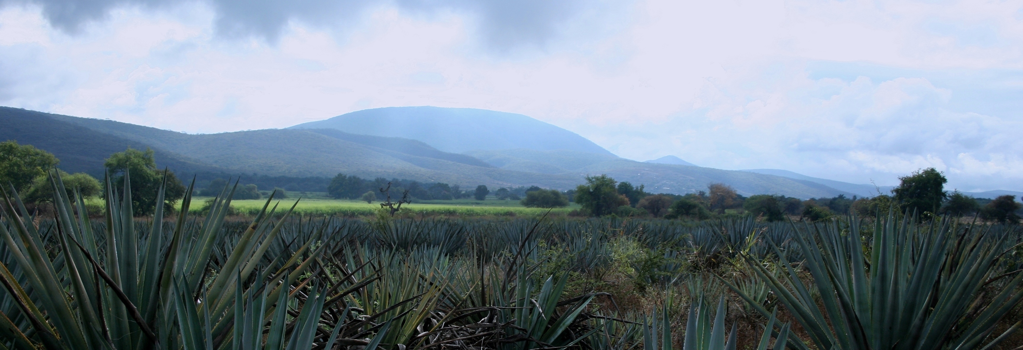 Tlaltizapán