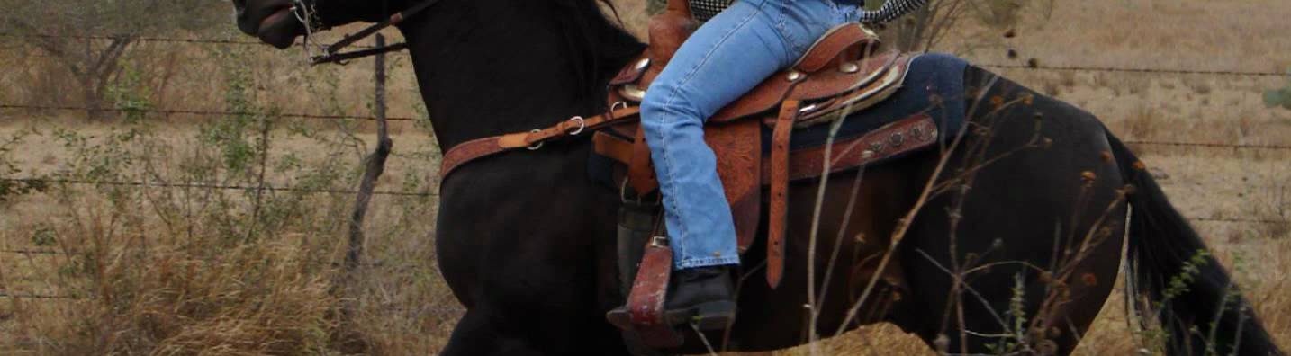 San Pedro Garza García