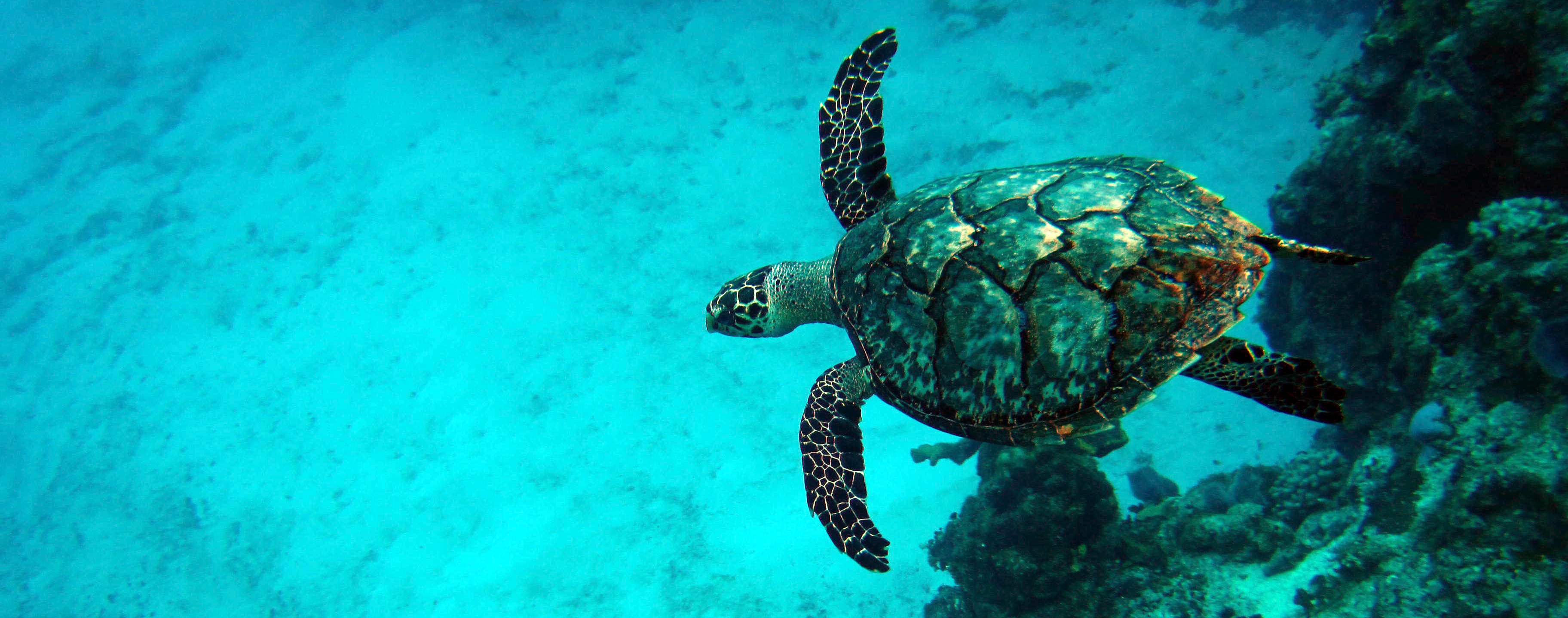 San Miguel de Cozumel