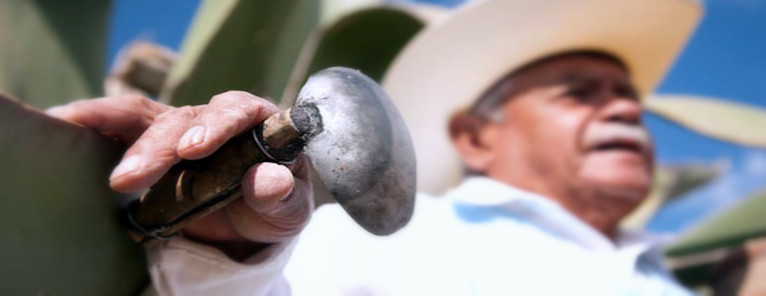 Chiautempan, Tlaxcala | Guia Turistica México Chiautempan, Tlaxcala | Guia Turistica México