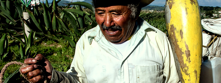 San Jerónimo Zacualpan